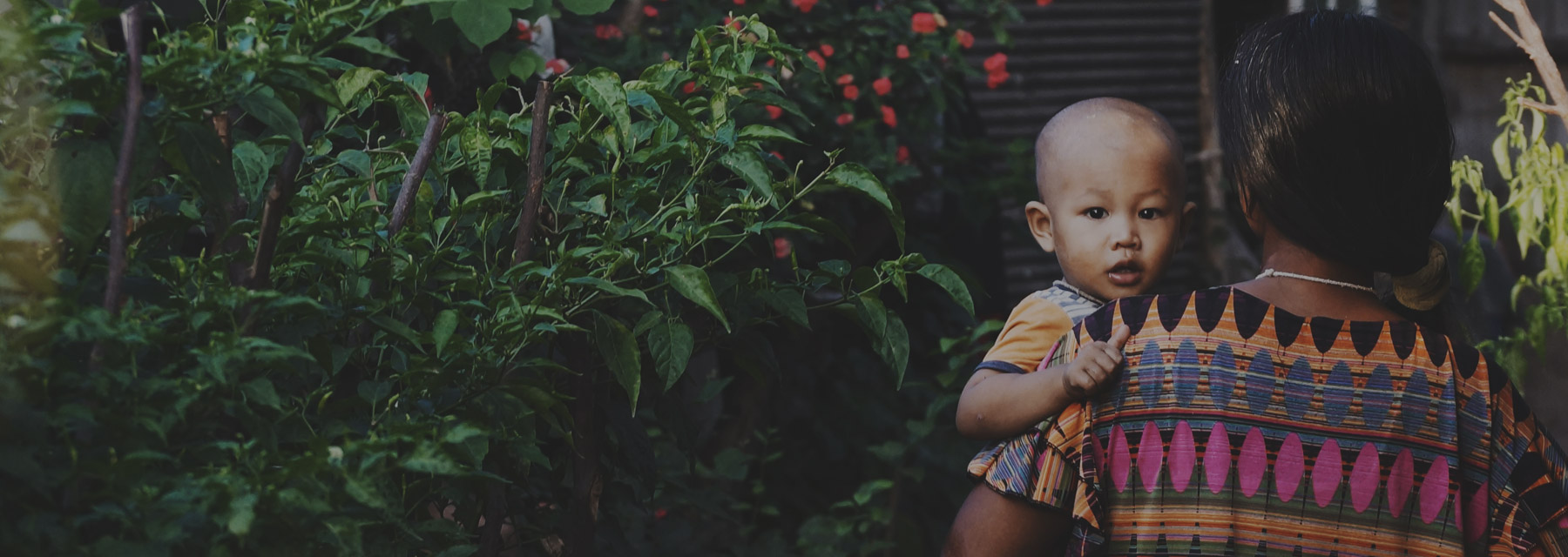 Stichting Vielvoye Foundation